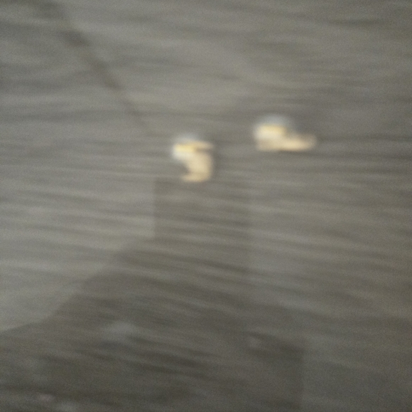 Earrings - Picture 4 of 4